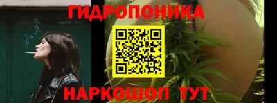твердый Шелехов